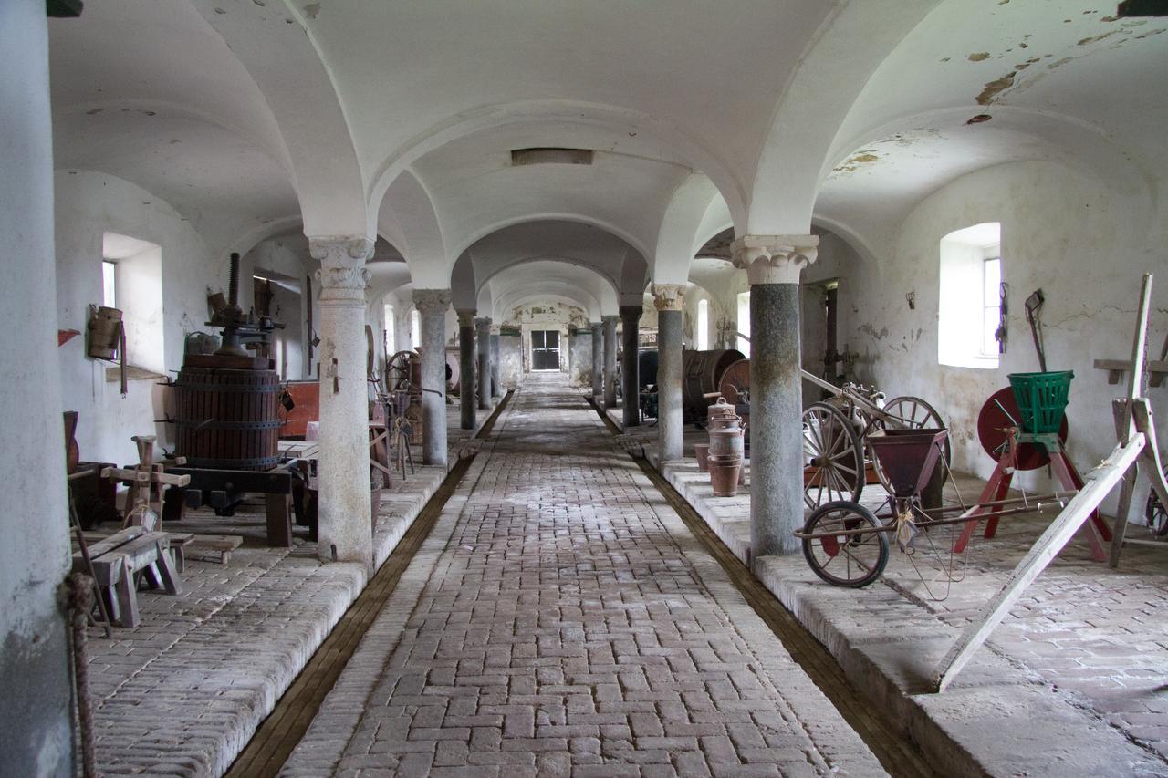 Corte Degli Angeli Società Agricola E Agrituristica Alloggio per agriturismo
